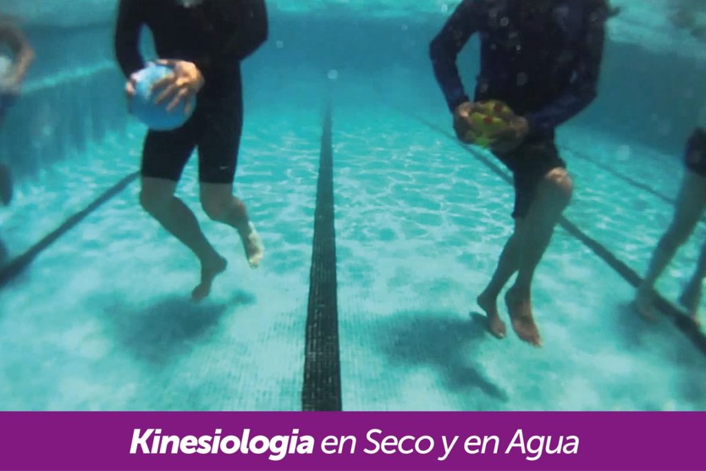 kinesiologia